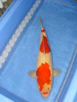 DSC07087