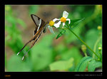 D22_1212a