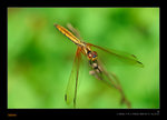 D22_1218a