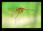 D22_1224a