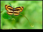 D22_1279c