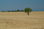 DSCF3713