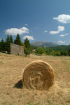 DSCF63040a