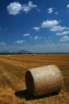 DSCF63216a