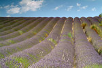 DSCF63262a