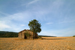 DSCF63668a
