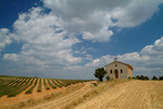 
Somewhere near Poimuisson at Plateau de Valensole