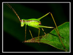 IMG_2779a