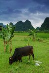 Guilin58399a