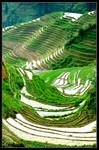 Guilin58534b