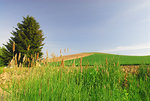 D22_3959a
