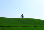 D22_4073a