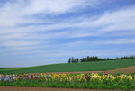 D22_4114a