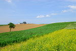 D22_4275a