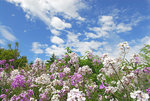 D22_4878a