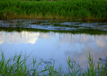 LandscapeG1198