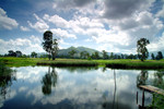 Landscape61285a