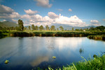 Landscape62819a