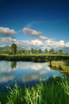 Landscape62832a