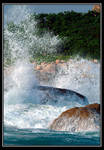 sea51759