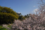 D23_1029aa