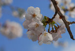 D23_1463aa