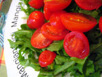 ���X + rocket (�ܭW�T)