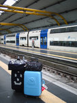 Airport-Termini Express 

