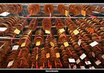 IMG_9452_800