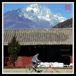 bicycle-640