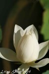 IMG_9433_s
