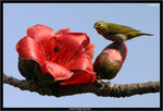 IMG_4370_copy