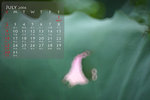 jul_resize