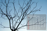 nov_resize