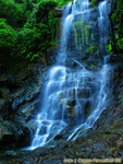 IMG_2311_COPY