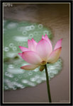 IMG_9831_copy