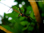 IMG_2289_COPY