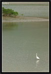 IMG_9768_copy