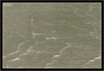 IMG_9769_copy