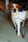 DSCF0003 copy