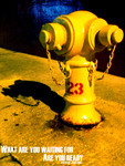 DSCN0104