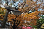 00DSC_3286