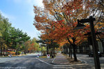 00DSC_3288