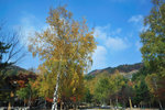 00DSC_3302
