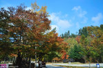 00DSC_3304