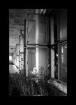 03717bw