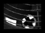 03747bw