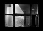 03756bw