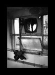 03763bw