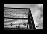 03768bw